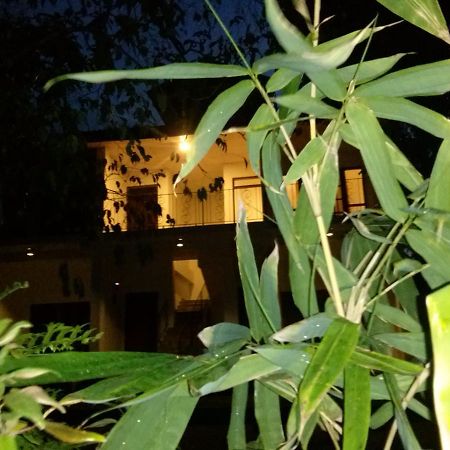 Green Earth Resort And Restaurant Dambulla Εξωτερικό φωτογραφία