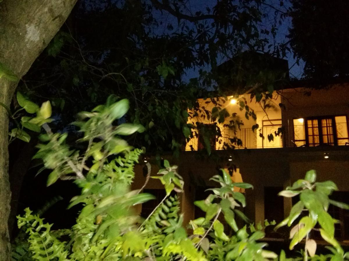 Green Earth Resort And Restaurant Dambulla Εξωτερικό φωτογραφία